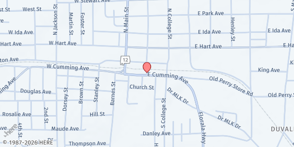 Map showing Opp Christian Service Center at 107 Whaley St., Opp, AL