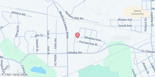 Map showing Tyus Ministries at 203 Hopson St., Selma, AL