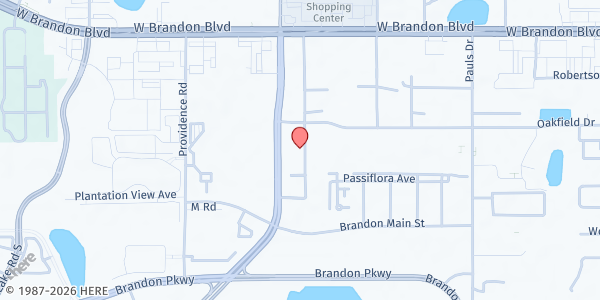Map showing SUNCOAST COMMUNITY HEALTH CENTER - BRANDON at 313 South Lakewood Drive, Brandon, FL