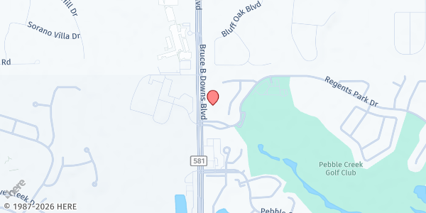 Map showing Bay Chapel Food Pantry at 19911 Bruce B Downs Boulevard, County Line Coalition, FL