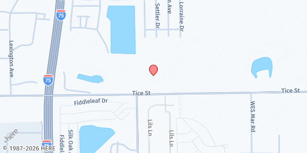 Map showing Manatee Elementary School at 5301 Tice St, Fort Myers, FL