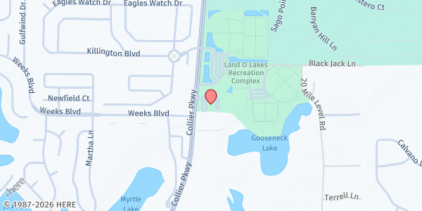 Map showing Land O' Lakes Branch Library at 2818 Collier Parkway, Land O' Lakes, FL