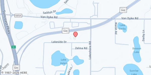 Map showing St. Vincent de Paul - St. Timothy Catholic Church at 17512 Lakeshore Road, Lutz, FL