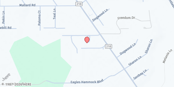 Map showing Wilkinson Junior High School at 5025 County Road 218, Middleburg, FL