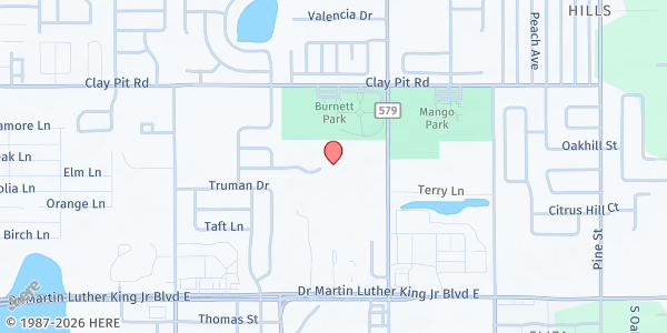 Map showing St. Francis of Assisi at 4450 County Road 579, Seffner, FL