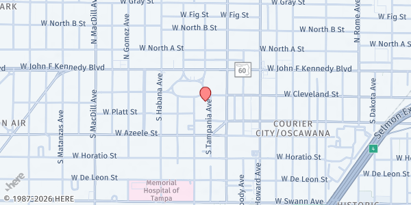 Map showing DAWNING FAMILY SERVICES at 201 South Tampania Avenue, South Tampa, FL