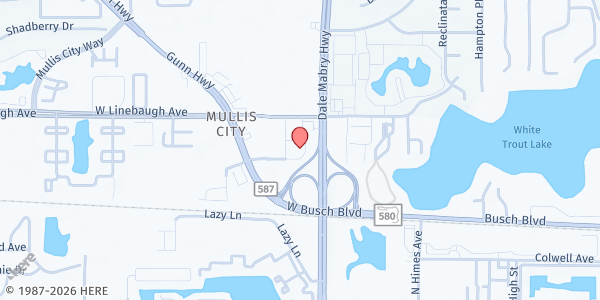 Map showing THE CHILDREN'S HOME NETWORK at 3924 Premier North Drive, Tampa, FL