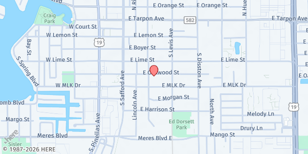 Map showing Feeding Minds Pantry @ Citizens Alliance For Progress at 401 E. Martin Luther King Jr Dr., Tarpon Springs, FL