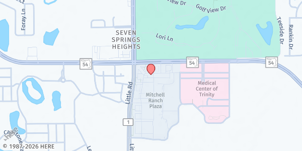 Map showing Mitchell Ranch Plaza – Metro BrigAIDe Stop at 3100 Little Road, Trinity, FL