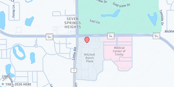 Map showing Mitchell Ranch Plaza - Target at 3100 Little Road, Trinity, FL