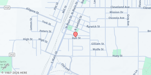 Map showing Caring Hands at 307 Hall Street, Wildwood, FL