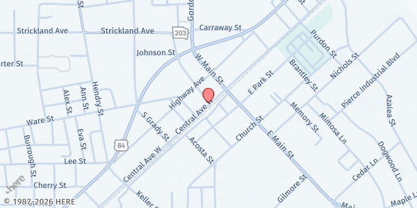 Map showing The Sycamore Tree at 204 Central Ave. W., Blackshear, GA
