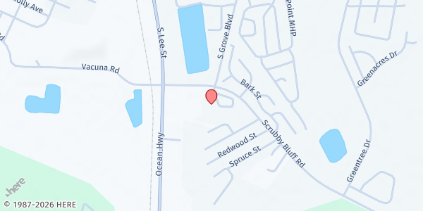 Map showing Ravens of Elijah at 130 Scrubby Bluff Road, Kingsland, GA