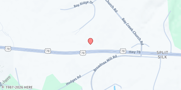 Map showing FISH Thrift Store at 2887 US-78, Loganville, GA