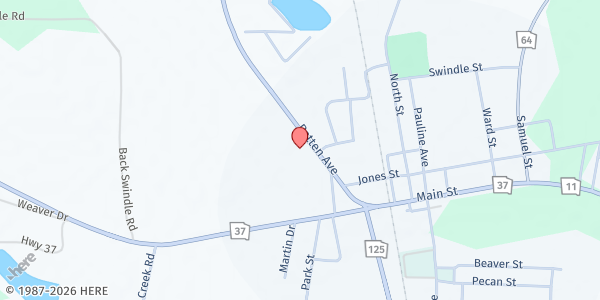 Map showing Ray City Senior Citizens Center at 1101 Patten Ave., Ray City, GA