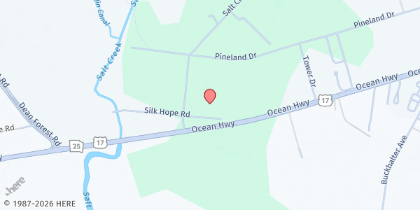 Map showing Build A Bridge Foundation at 5212 Silk Hope Road, Savannah, GA