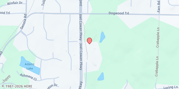 Map showing Real Life Center at 975 GA-74 N., Tyrone, GA