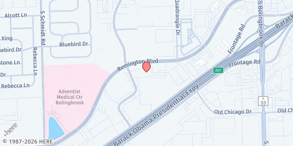 Map showing 4 KIDS Sake Inc. Food Pantry at 339 Remington Blvd, Bolingbrook, IL