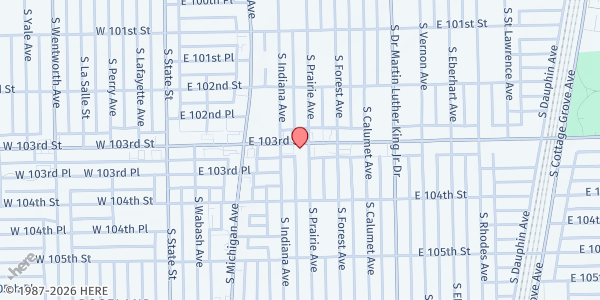 Map showing Roseland Metro Family Services at 209 E 103rd St, Chicago, IL