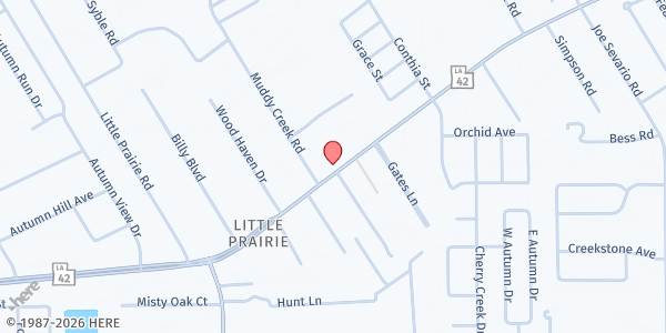 Map showing Manantial de Vida at 41150 Hwy. 42, Prairieville, LA