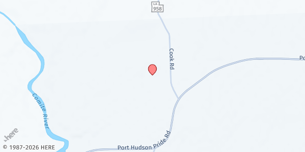 Map showing O'Dell Tickles Food Pantry at 24497 Cook Road, Slaughter, LA