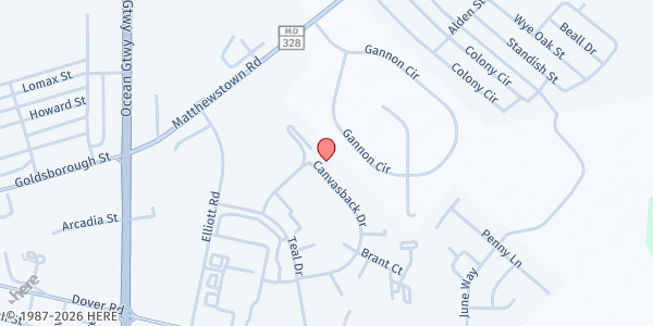 Map showing Society of St. Vincent De Paul - Easton at 29533 Canvasback Drive, Easton, MD