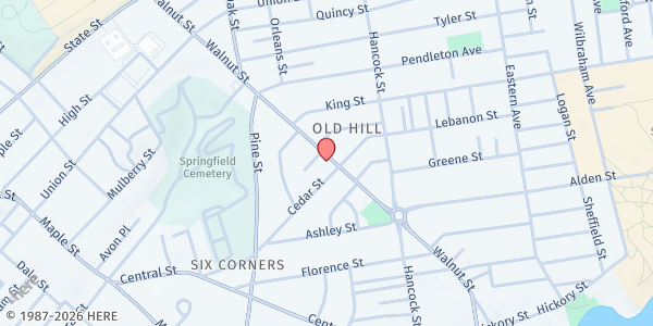 Map showing Born Free Foods Pantry at 235 Hancock St., Springfield, MA