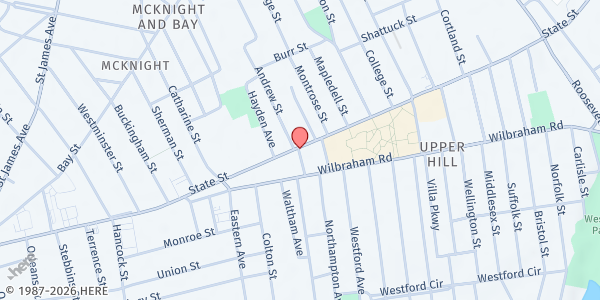 Map showing Martin Luther King, Jr. Family Services Mobile Food Bank at 3 Rutland St., Springfield, MA