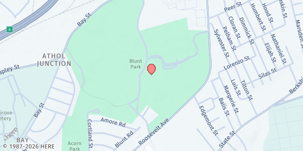 Map showing Springfield Jordan Senior Center Brown Bag at 1476 Roosevelt Avenue, Springfield, MA