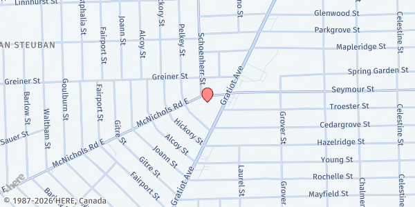 Map showing MP-Matrix Human Services, forgotten harvest at 13560 East McNichols Road, Detroit, MI