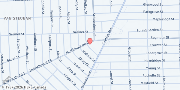 Map showing MP-Matrix Human Services at 13560 East McNichols Road, Gratiot-Findlay, MI