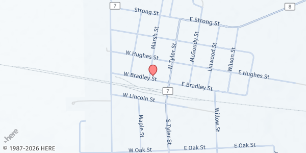 Map showing Tyler Area Food Shelf at 148 Bradley St, Tyler, MN