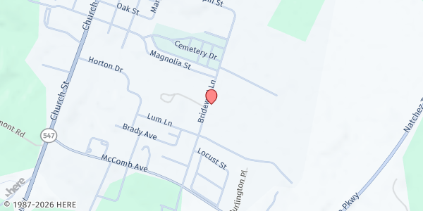 Map showing Team Inc. - Port Gibson at 1511 Bridewell Lane, Port Gibson, MS