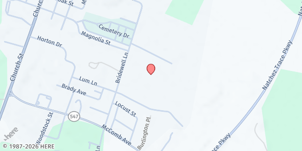 Map showing Team Inc. - Port Gibson at 1511 Bridewell Ln., Port Gibson, MS