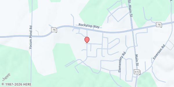 Map showing Boys & Girls Club of the Ozarks-Reeds Spring at 300 Wolves Ln, Reeds Spring, MO