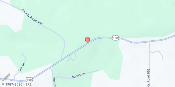 Map showing Lutie Elementary at 5802 U.S. 160, Theodosia, MO