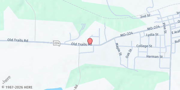 Map showing A. I. M. Food Pantry at 710 West St., Wellington, MO