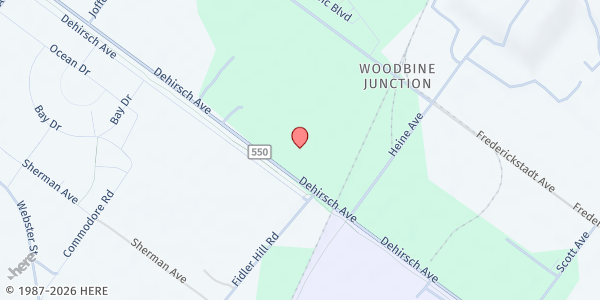 Map showing The SOAR Church at 1324 Dehirsch Ave., Woodbine, NJ