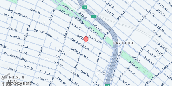 Map showing Arab American Association of New York, Inc. at 6803 5th Avenue, Bay Ridge, NY