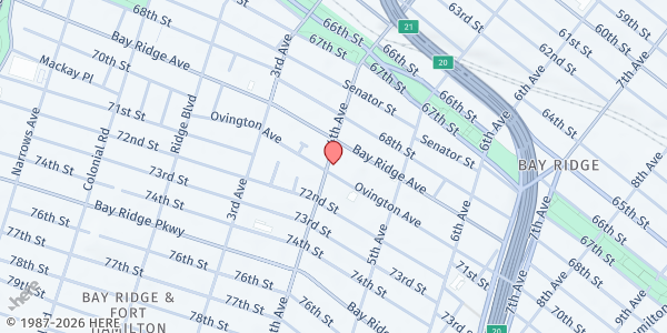 Map showing Bay Ridge Community Service Center at 6935 4th Avenue, Bay Ridge, NY