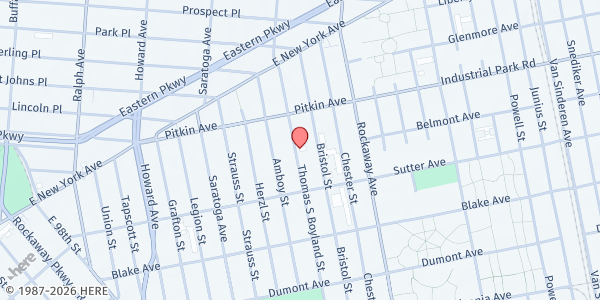 Map showing BETHANY GOSPEL CHAPEL INC at 521 THOMAS S. BOYLAND STREET, Brooklyn, NY