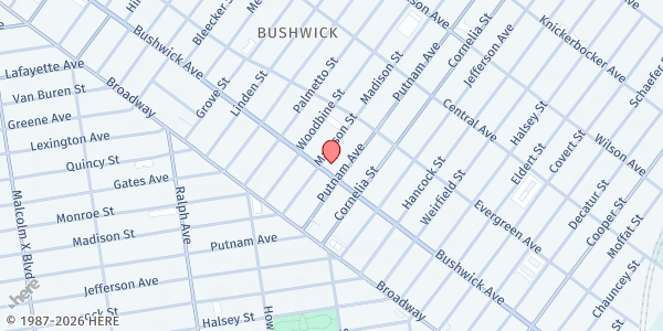 Map showing Bushwick United Seniors CBO at 1139 Bushwick Avenue, Brooklyn, NY