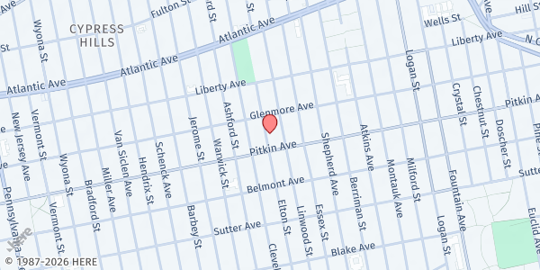 Map showing Caribbean American Steel Pan Education Center at 363 Elton Street, Brooklyn, NY