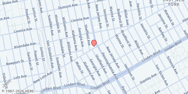 Map showing HOPE EMPOWERMENT AND DEVELOPMENT ZONE FOOD PANTRY at 369 NEW LOTS AVENUE, Brooklyn, NY