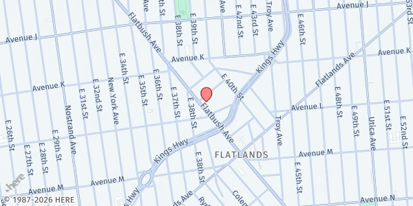 Map showing LifeBridge NY at 1895 FLATBUSH AVENUE, Brooklyn, NY