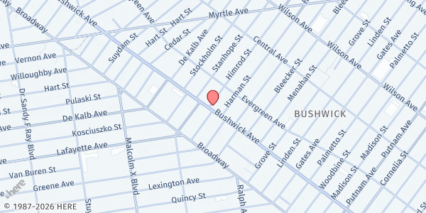 Map showing Metro World Child - Alabama at 77 Alabama Ave, Brooklyn, NY
