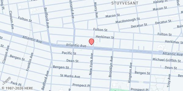 Map showing MUNA Social Services - Downtown Brooklyn at 50 NEW YORK AVENUE, Brooklyn, NY