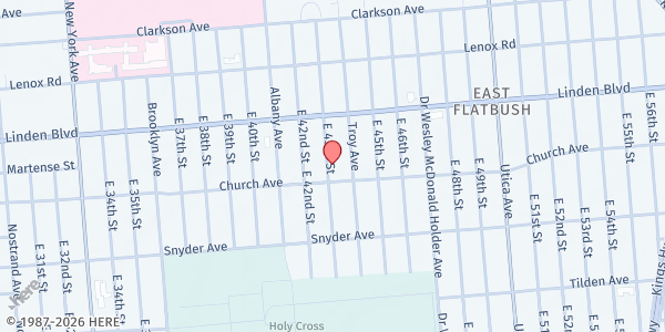 Map showing MUNA Social Services - East Flatbush at 167 EAST 43RD STREET, Brooklyn, NY