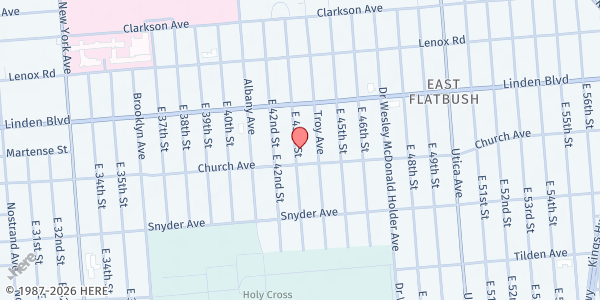 Map showing MUNA Social Services - East Flatbush at 167 E 43rd St, Brooklyn, NY