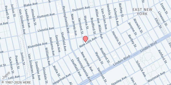Map showing Mylah's Organization Inc. at 447 New Lots Ave, Brooklyn, NY